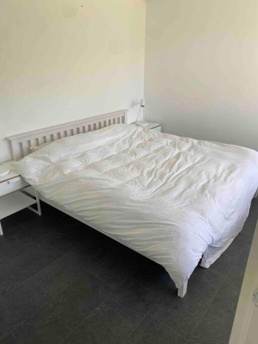 Bungalow Near Beach With Large Private Garden - Not For Companies Ouddorp Luaran gambar